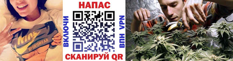 Где можно купить наркотики Плёс ссылка на мегу маркетплейс  АМФ  Меф  Alpha PVP  ГАШ  Бошки Шишки  Cocaine 