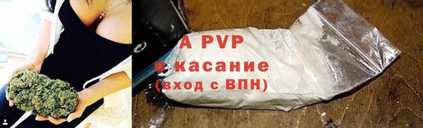 ECSTASY Богородицк
