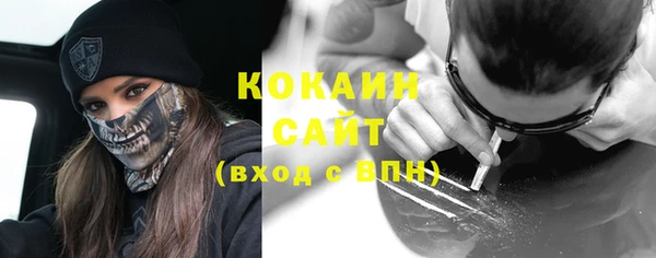 ECSTASY Богородицк