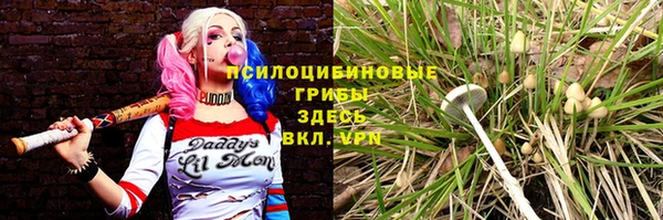 ECSTASY Богородицк
