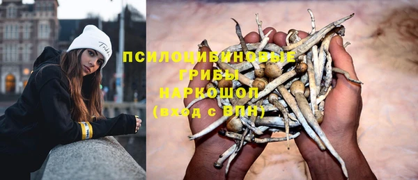 спайс Богородск
