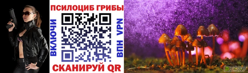 как найти закладки  Плёс  MEGA рабочий сайт  Псилоцибиновые грибы GOLDEN TEACHER 